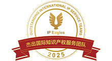 The Outstanding International IP Service Teams